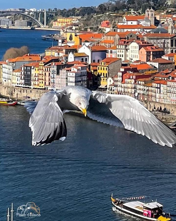 Вілла Casa Mira Douro Віла-Нова-де-Гая Екстер'єр фото